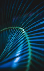 Preview wallpaper palm leaf, leaf, stripes, macro, blue