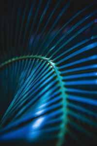 Preview wallpaper palm leaf, leaf, stripes, macro, blue