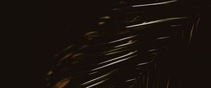 Preview wallpaper palm, leaf, plant, dark
