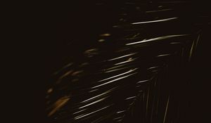 Preview wallpaper palm, leaf, plant, dark