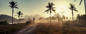 Preview wallpaper palm, road, sunset