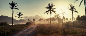 Preview wallpaper palm, road, sunset