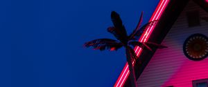 Preview wallpaper palm, roof, neon, backlight, red