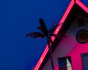 Preview wallpaper palm, roof, neon, backlight, red