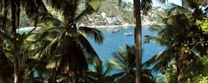 Preview wallpaper palm, sea, boat, vacation