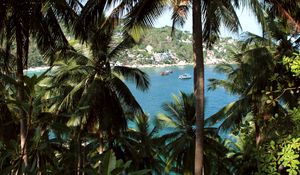 Preview wallpaper palm, sea, boat, vacation