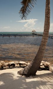 Preview wallpaper palm, sea, ocean, tropics, pier