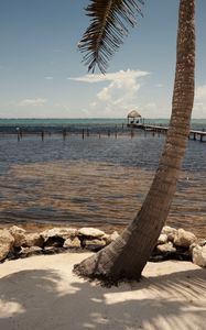 Preview wallpaper palm, sea, ocean, tropics, pier