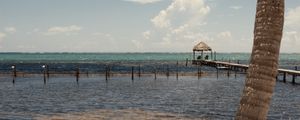 Preview wallpaper palm, sea, ocean, tropics, pier