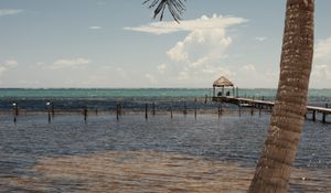 Preview wallpaper palm, sea, ocean, tropics, pier