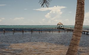 Preview wallpaper palm, sea, ocean, tropics, pier