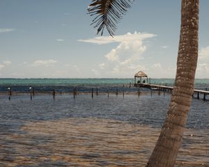 Preview wallpaper palm, sea, ocean, tropics, pier