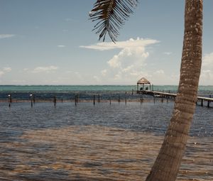 Preview wallpaper palm, sea, ocean, tropics, pier