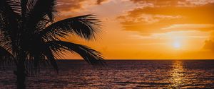 Preview wallpaper palm, sea, sunset, surf, horizon, sky, clouds