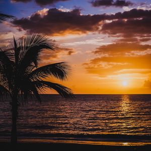 Preview wallpaper palm, sea, sunset, surf, horizon, sky, clouds