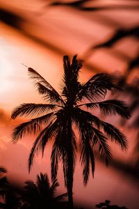 Preview wallpaper palm, silhouette, dark, dusk, sunset