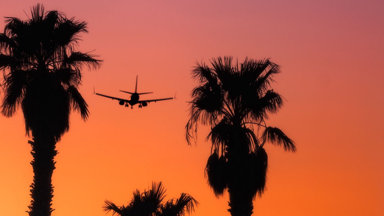 Wallpaper palm, silhouette, plane, sunset, sky