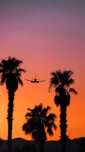 Preview wallpaper palm, silhouette, plane, sunset, sky