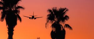 Preview wallpaper palm, silhouette, plane, sunset, sky