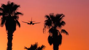 Preview wallpaper palm, silhouette, plane, sunset, sky