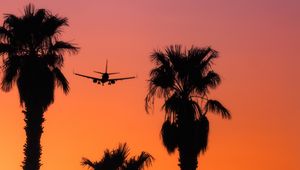 Preview wallpaper palm, silhouette, plane, sunset, sky