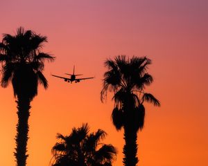 Preview wallpaper palm, silhouette, plane, sunset, sky