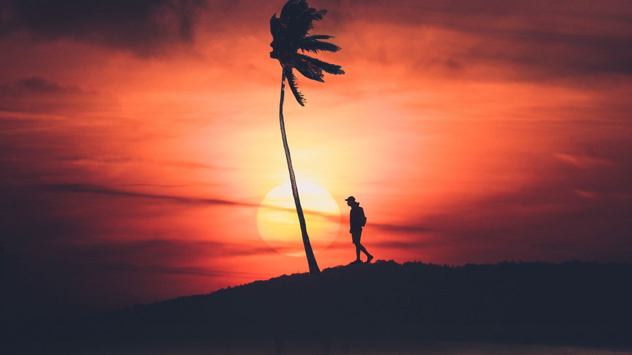 Wallpaper palm, silhouette, sunset, night, loneliness, solitude