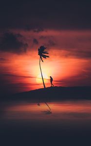 Preview wallpaper palm, silhouette, sunset, night, loneliness, solitude