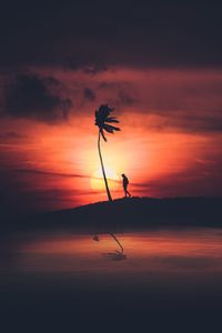 Preview wallpaper palm, silhouette, sunset, night, loneliness, solitude