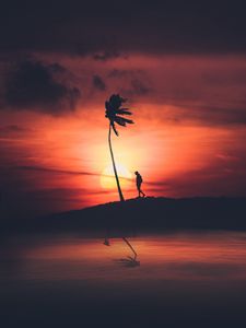 Preview wallpaper palm, silhouette, sunset, night, loneliness, solitude