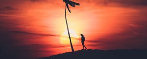 Preview wallpaper palm, silhouette, sunset, night, loneliness, solitude