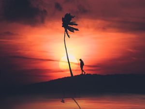 Preview wallpaper palm, silhouette, sunset, night, loneliness, solitude