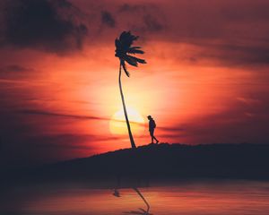 Preview wallpaper palm, silhouette, sunset, night, loneliness, solitude