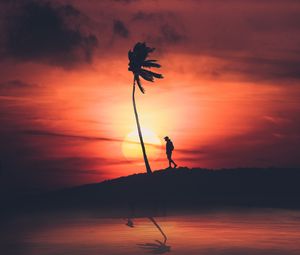 Preview wallpaper palm, silhouette, sunset, night, loneliness, solitude