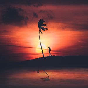 Preview wallpaper palm, silhouette, sunset, night, loneliness, solitude