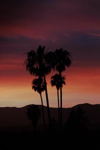 Preview wallpaper palm, silhouette, sunset, evening