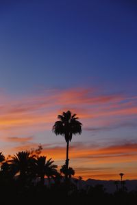 Preview wallpaper palm, sky, sunset, tropical