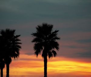 Preview wallpaper palm, sunset, palm trees, sky, tropics