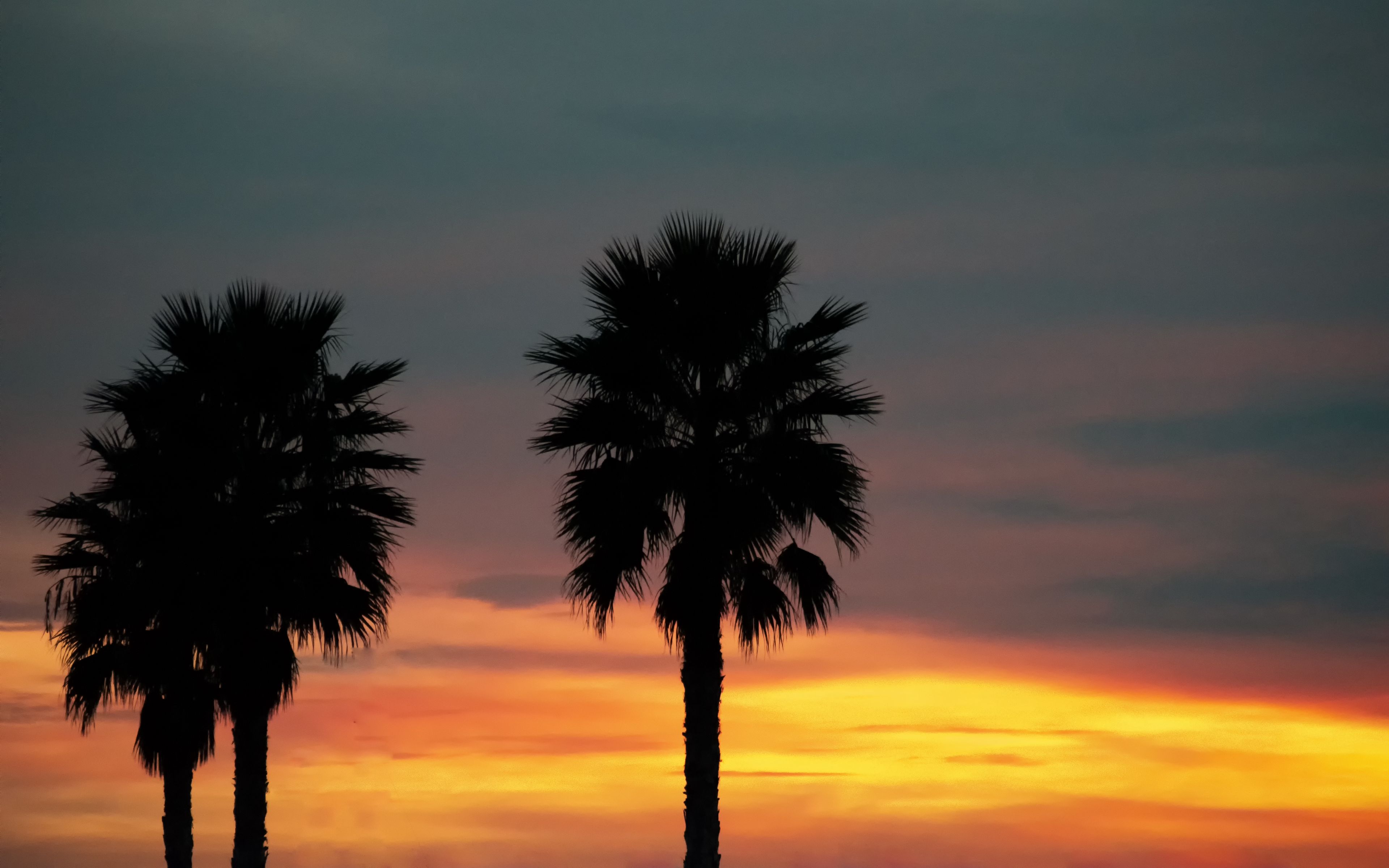 Download Wallpaper 3840x2400 Palm Sunset Palm Trees Sky Tropics 4k