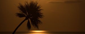 Preview wallpaper palm, sunset, silhouette, sea, glare