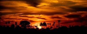 Preview wallpaper palm, sunset, silhouette, sun, black