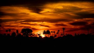 Preview wallpaper palm, sunset, silhouette, sun, black