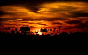 Preview wallpaper palm, sunset, silhouette, sun, black