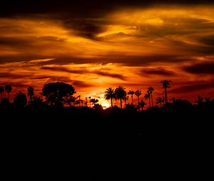 Preview wallpaper palm, sunset, silhouette, sun, black