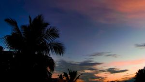 Preview wallpaper palm, sunset, tropics, night, clouds