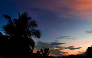 Preview wallpaper palm, sunset, tropics, night, clouds