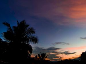 Preview wallpaper palm, sunset, tropics, night, clouds