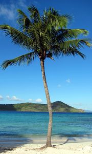 Preview wallpaper palm tree, beach, island, tropics, hills, sea