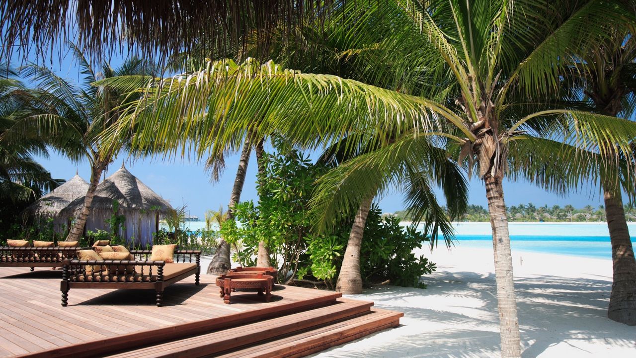 Wallpaper palm tree, beach, sand, tropical, sofas, stairs