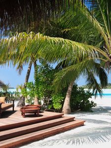 Preview wallpaper palm tree, beach, sand, tropical, sofas, stairs